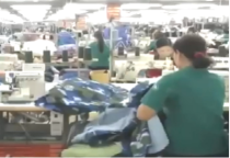 Cung cấp mực in tem nhãn trong nghành May mặc, giày dép