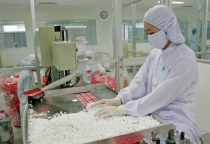 Cung cấp mực in tem nhãn trong nghành Dược phẩm,