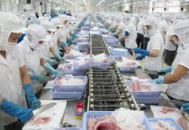 Cung cấp mực in tem nhãn trong nghành chế biến thực phẩm